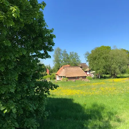 Haus Lieschen Holiday home *